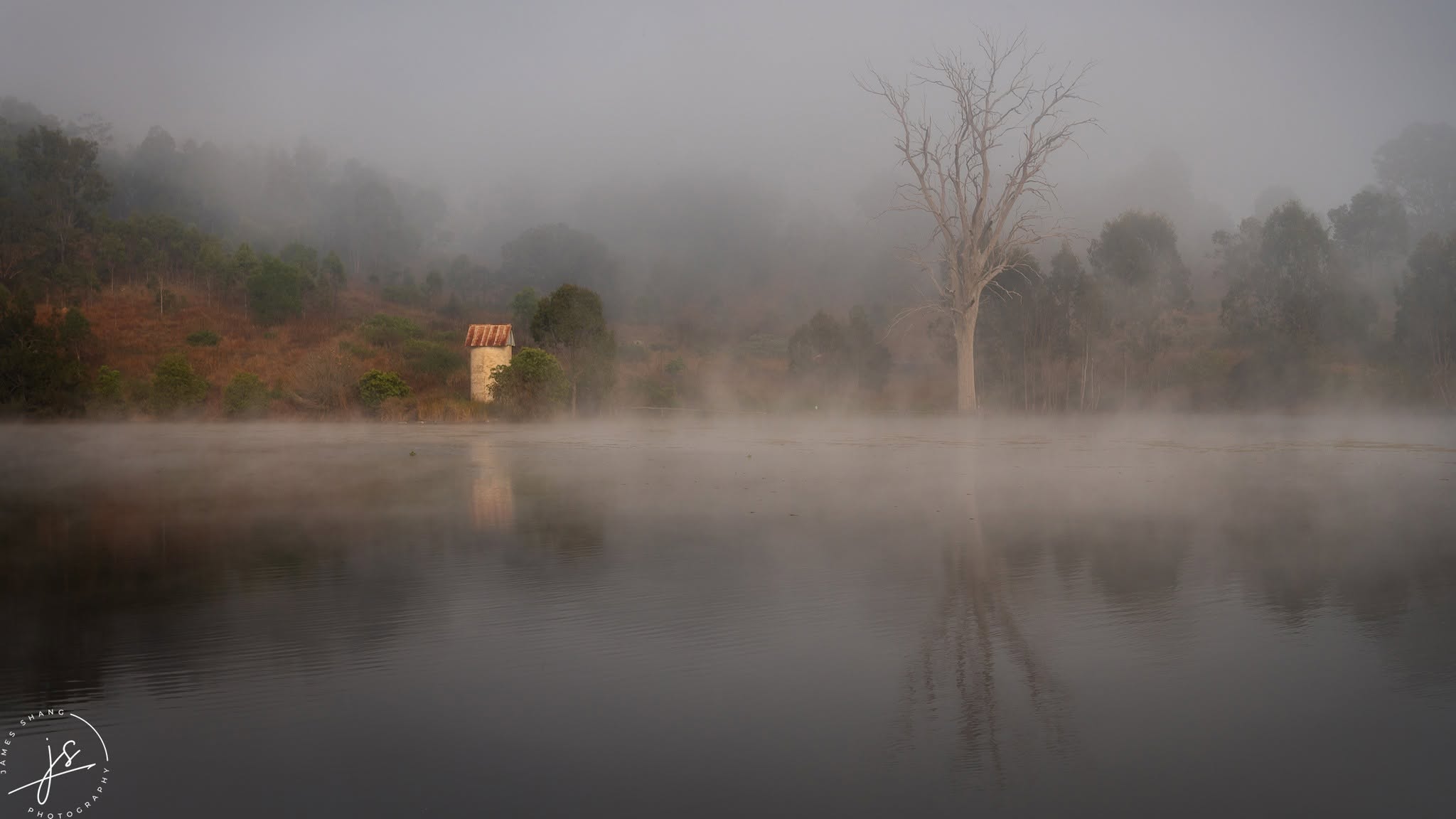 Small rural structure and bare tree reflected in a mist-covered lake